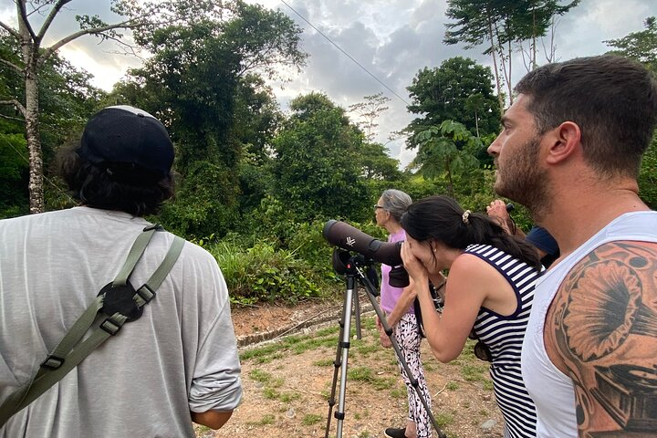 3-Hour Private Birdwatching Experience in Uvita / Ojochal - Photo 1 of 25